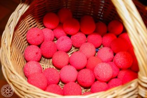 Eroeffnung_Prinzenburg_015